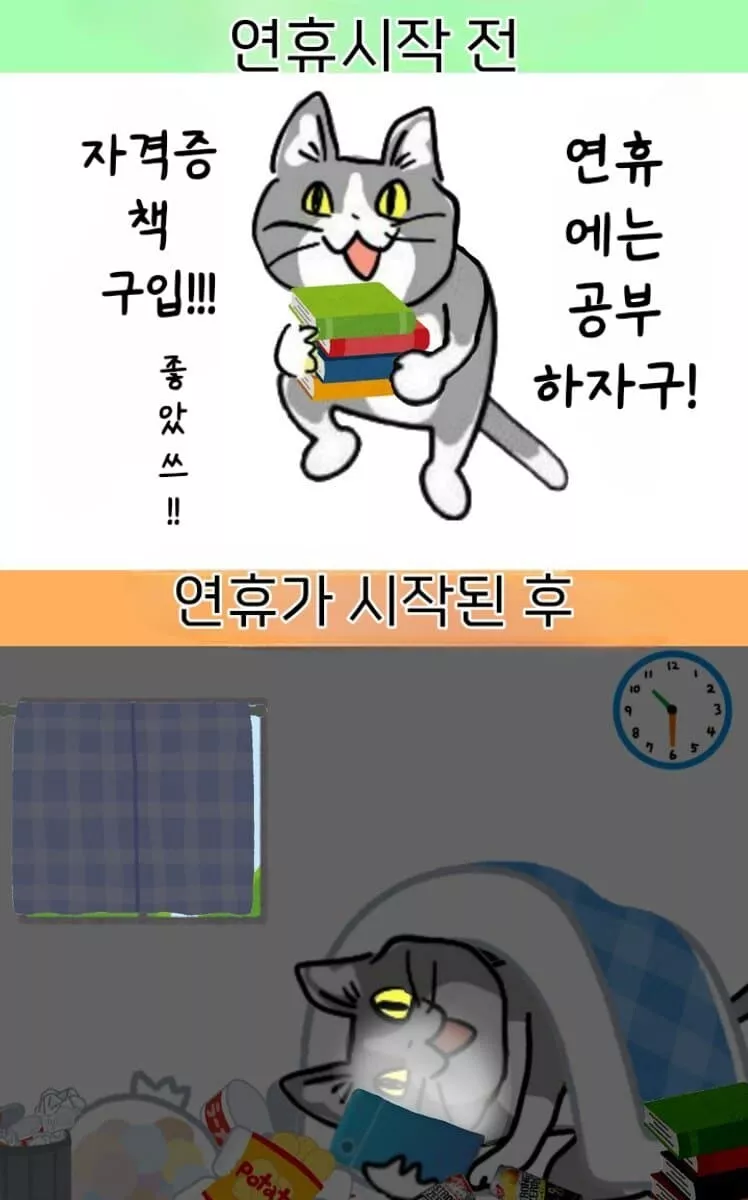 본문 이미지